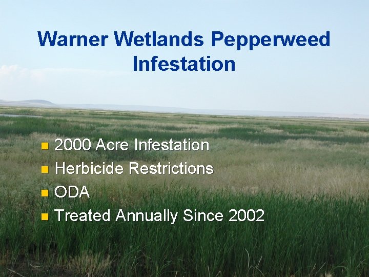 Warner Wetlands Pepperweed Infestation 2000 Acre Infestation n Herbicide Restrictions n ODA n Treated