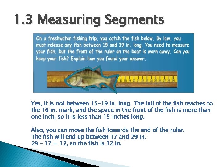 1. 3 Measuring Segments Yes, it is not between 15 -19 in. long. The