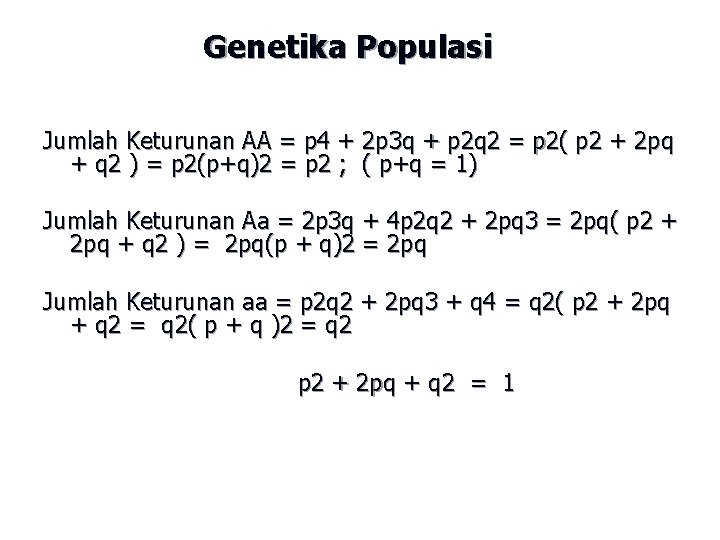 Genetika Populasi Jumlah Keturunan AA = p 4 + 2 p 3 q +