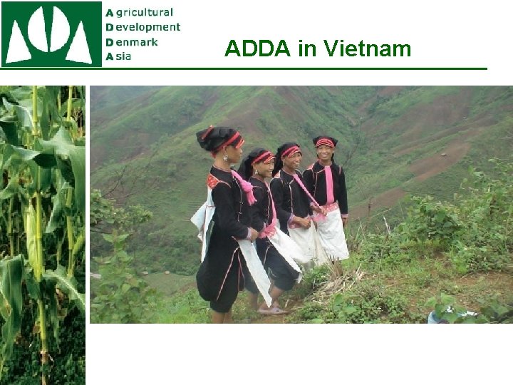 ADDA in Vietnam 