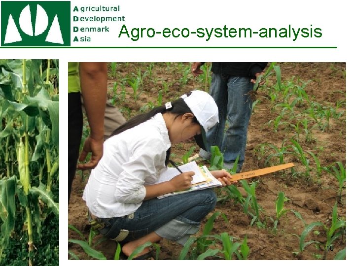 Agro-eco-system-analysis 10 