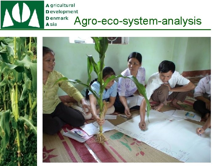 Agro-eco-system-analysis 