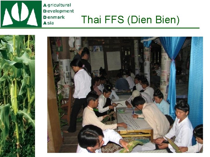 Thai FFS (Dien Bien) 