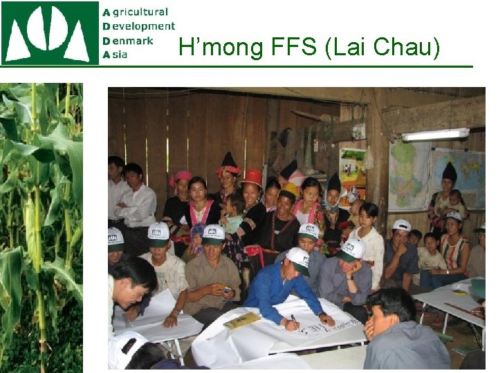 H’mong FFS (Lai Chau) H’mong FFS (Lai Chau)