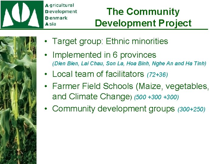 The Community Development Project • Target group: Ethnic minorities • Implemented in 6 provinces