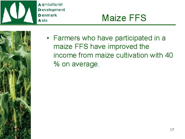 Maize FFS • Farmers who have participated in a maize FFS have improved the