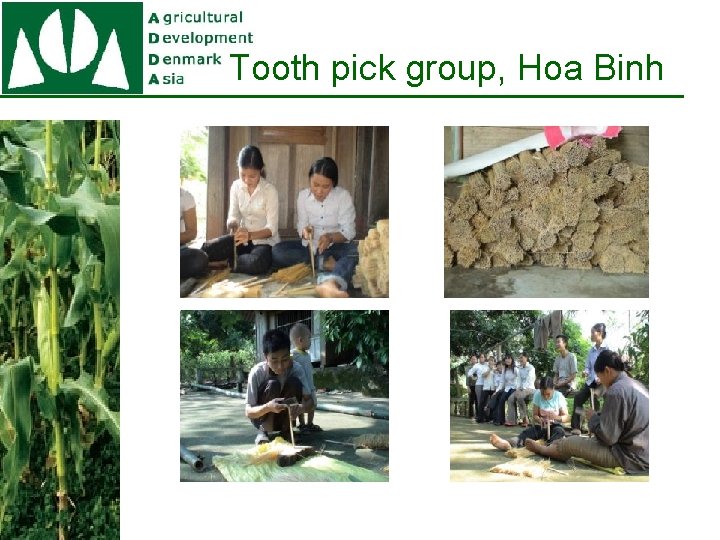 Tooth pick group, Hoa Binh 