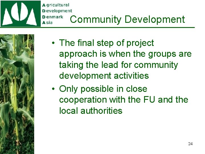 Community Development • The final step of project approach is when the groups are