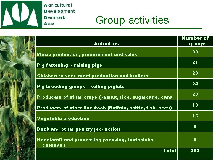 Group activities Number of groups Activities 90 Maize production, procurement and sales 81 Pig