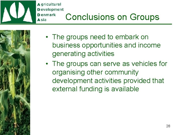 Conclusions on Groups • The groups need to embark on business opportunities and income