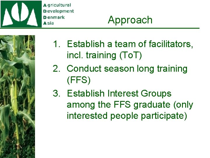 Approach 1. Establish a team of facilitators, incl. training (To. T) 2. Conduct season