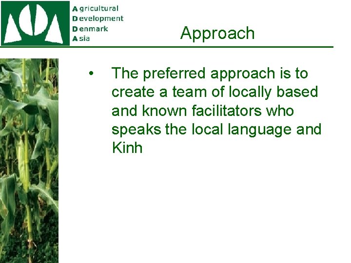 Approach • The preferred approach is to create a team of locally based and