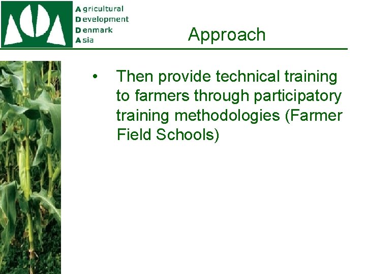 Approach • Then provide technical training to farmers through participatory training methodologies (Farmer Field