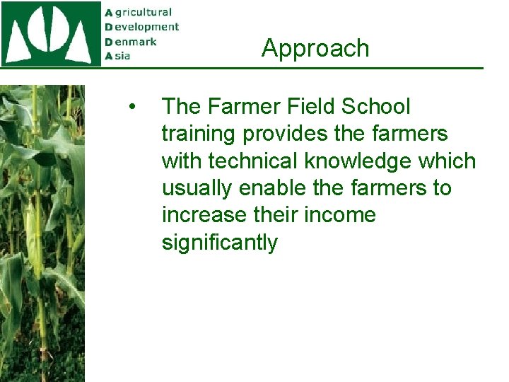 Approach • The Farmer Field School training provides the farmers with technical knowledge which