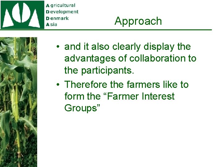 Approach • and it also clearly display the advantages of collaboration to the participants.