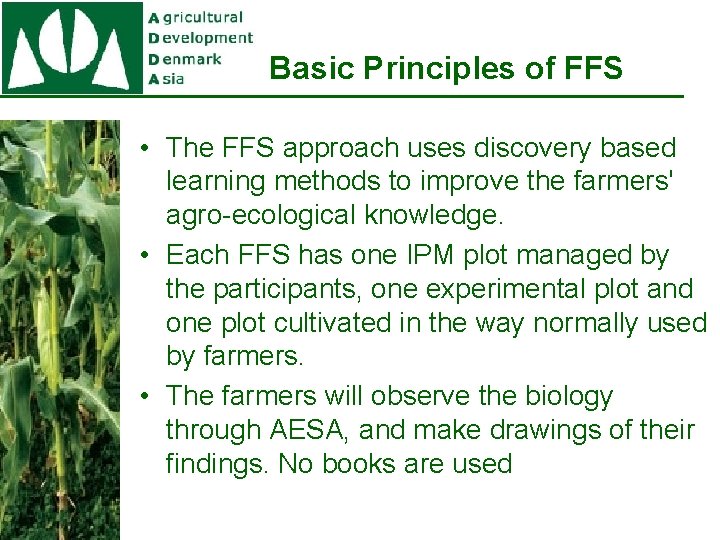 Basic Principles of FFS • The FFS approach uses discovery based learning methods to