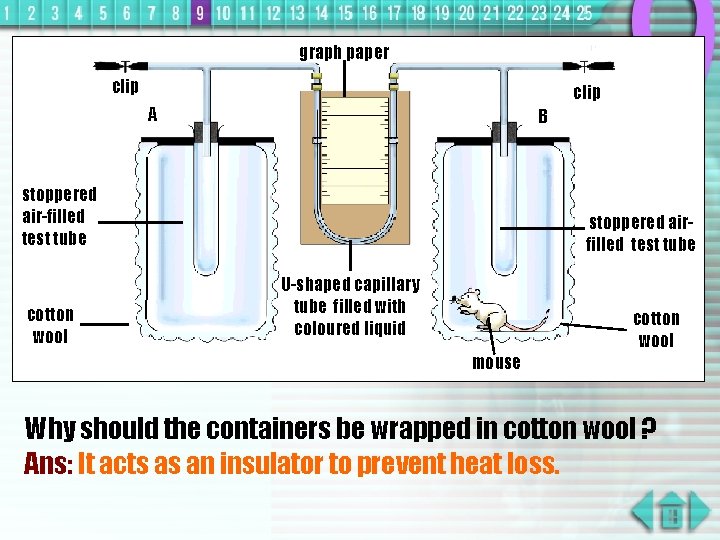 graph paper clip A B stoppered air-filled test tube cotton wool stoppered airfilled test