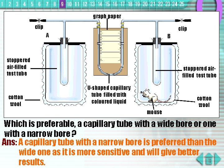 graph paper clip A B stoppered air-filled test tube cotton wool stoppered airfilled test