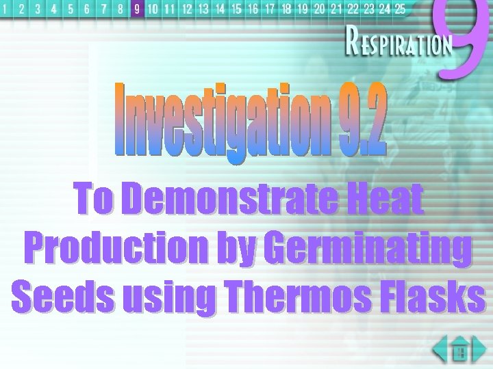 To Demonstrate Heat Production by Germinating Seeds using Thermos Flasks 