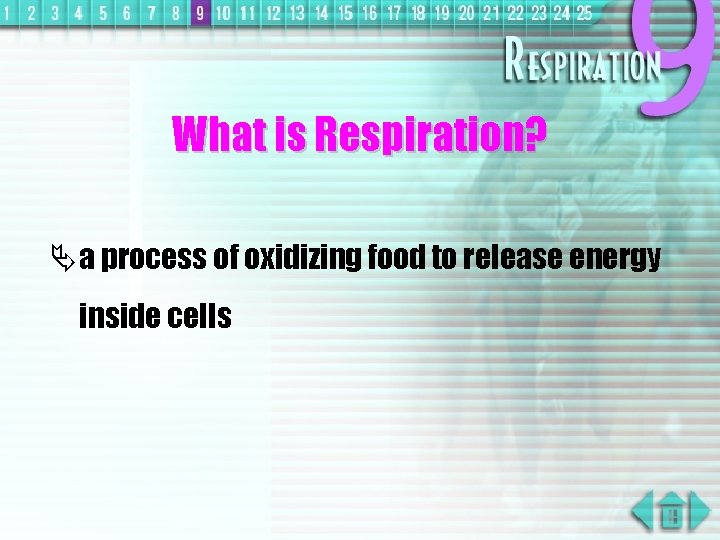 What is Respiration? Ä a process of oxidizing food to release energy inside cells