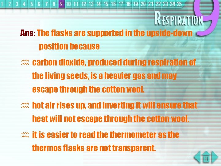 Ans: The flasks are supported in the upside-down position because h carbon dioxide, produced
