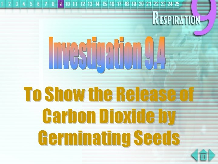 To Show the Release of Carbon Dioxide by Germinating Seeds 