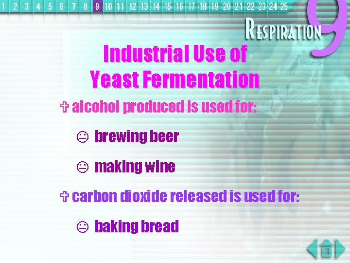 Industrial Use of Yeast Fermentation V alcohol produced is used for: K brewing beer