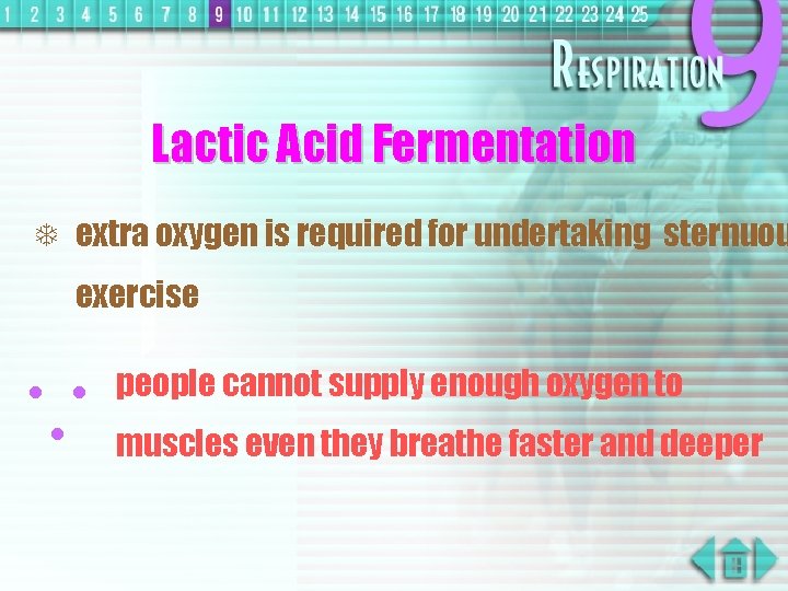 Lactic Acid Fermentation T extra oxygen is required for undertaking sternuou exercise people cannot