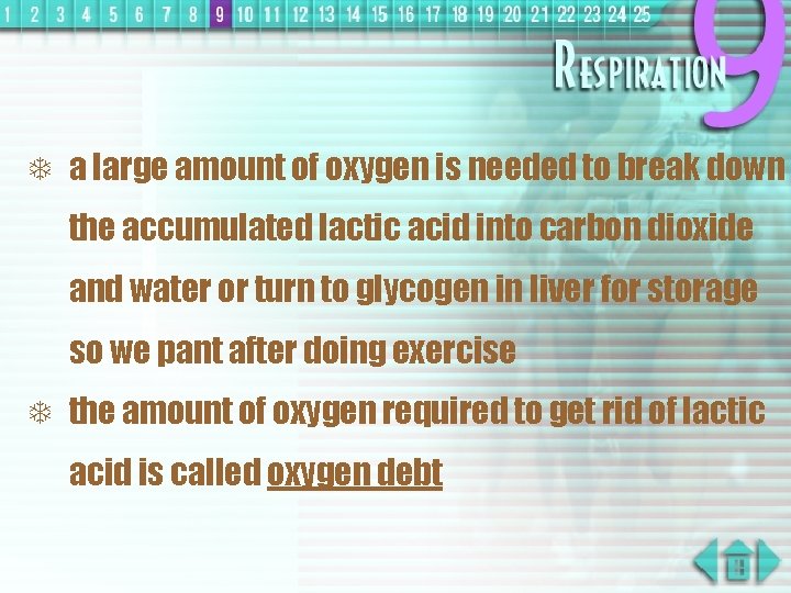 T a large amount of oxygen is needed to break down the accumulated lactic