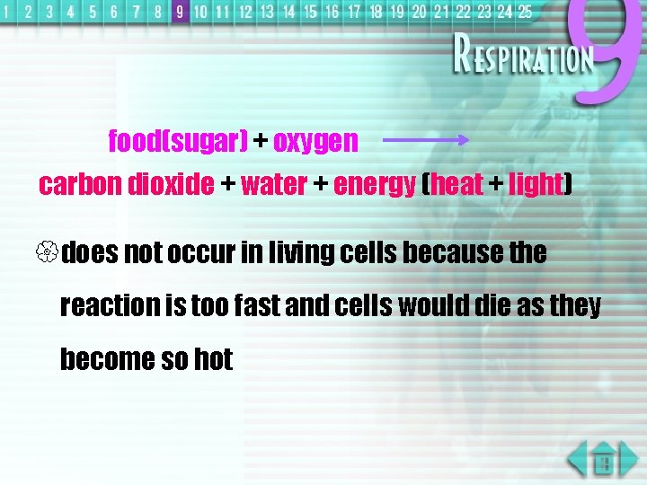 food(sugar) + oxygen carbon dioxide + water + energy (heat + light) {does not