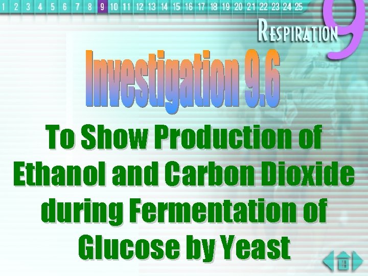 To Show Production of Ethanol and Carbon Dioxide during Fermentation of Glucose by Yeast