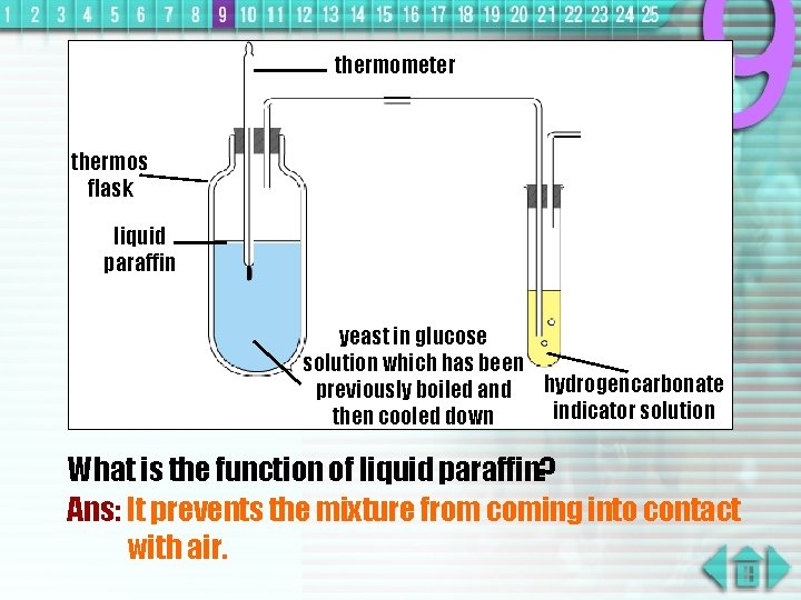 thermometer thermos flask liquid paraffin yeast in glucose solution which has been previously boiled