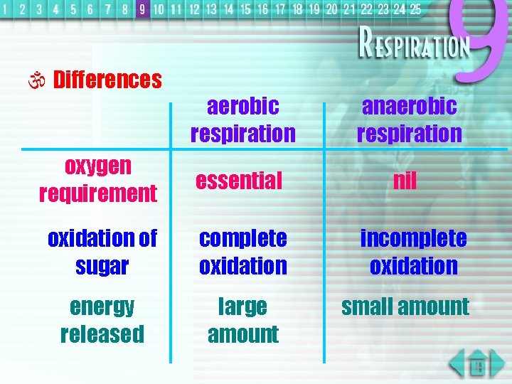  Differences aerobic respiration anaerobic respiration oxygen requirement essential nil oxidation of sugar complete