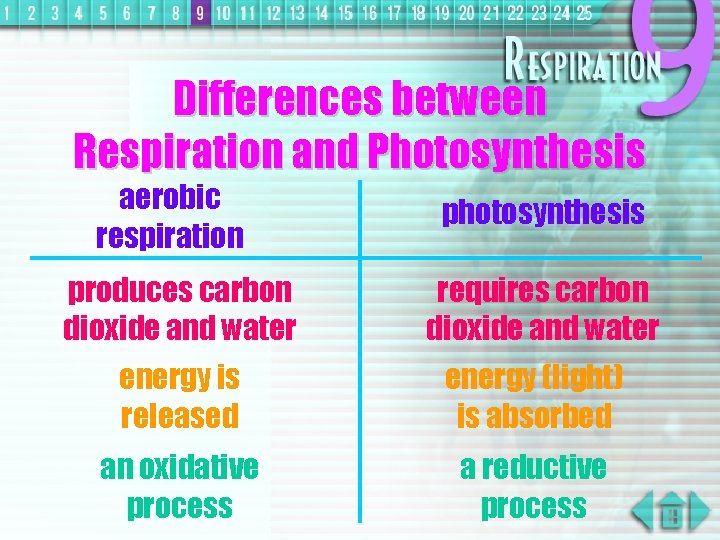 Differences between Respiration and Photosynthesis aerobic respiration photosynthesis produces carbon dioxide and water requires