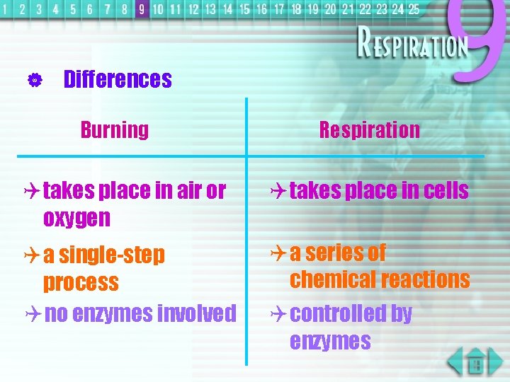 | Differences Burning Respiration Q takes place in air or oxygen Q takes place