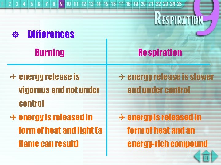 ] Differences Burning Q energy release is vigorous and not under Respiration Q energy