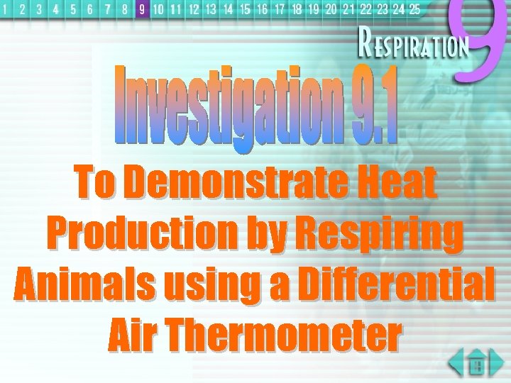 To Demonstrate Heat Production by Respiring Animals using a Differential Air Thermometer 