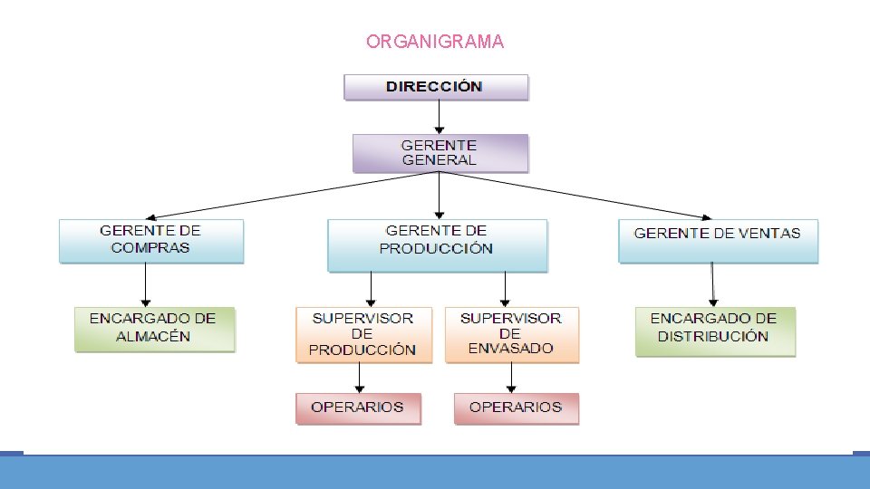 ORGANIGRAMA ORGANIGRAMA