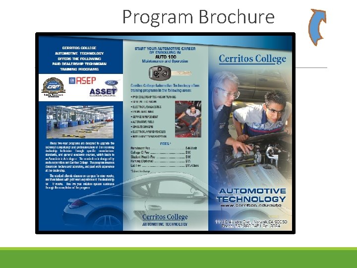 Program Brochure 