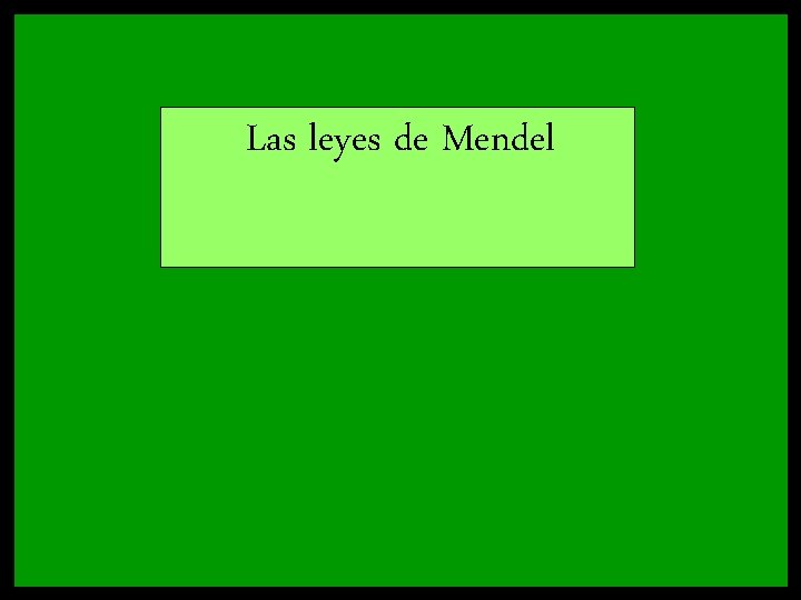 Las leyes de Mendel Las leyes de Mendel