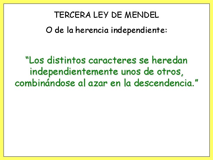 TERCERA LEY DE MENDEL O de la herencia independiente: “Los distintos caracteres se heredan TERCERA LEY DE MENDEL O de la herencia independiente: “Los distintos caracteres se heredan