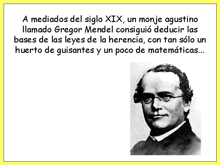 A mediados del siglo XIX, un monje agustino llamado Gregor Mendel consiguió deducir las A mediados del siglo XIX, un monje agustino llamado Gregor Mendel consiguió deducir las