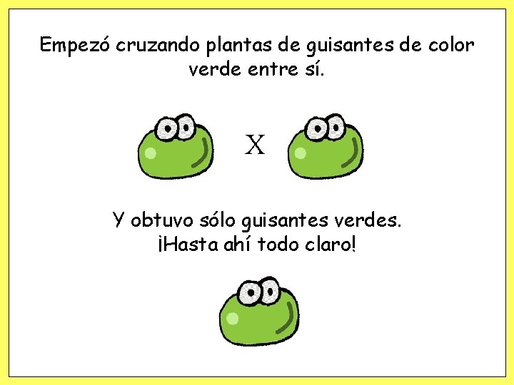 Empezó cruzando plantas de guisantes de color verde entre sí. X Y obtuvo sólo Empezó cruzando plantas de guisantes de color verde entre sí. X Y obtuvo sólo