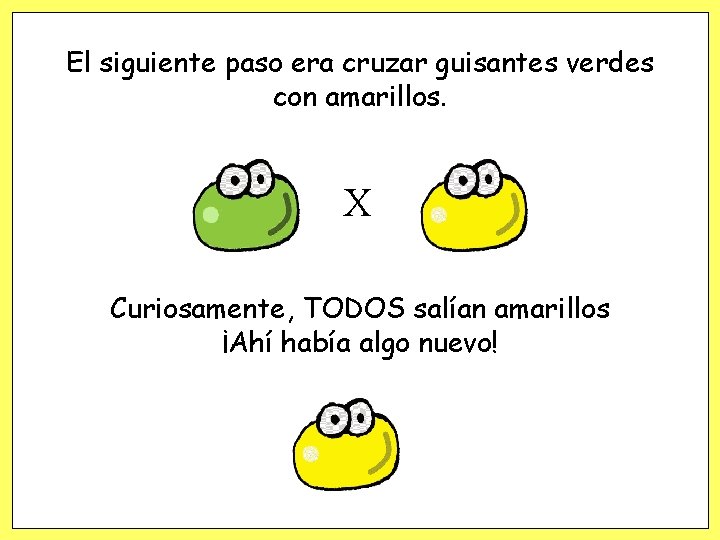 El siguiente paso era cruzar guisantes verdes con amarillos. X Curiosamente, TODOS salían amarillos El siguiente paso era cruzar guisantes verdes con amarillos. X Curiosamente, TODOS salían amarillos