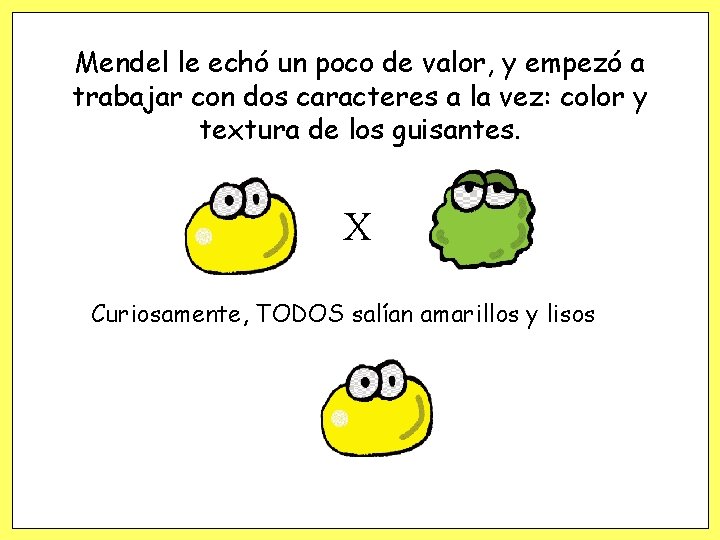 Mendel le echó un poco de valor, y empezó a trabajar con dos caracteres Mendel le echó un poco de valor, y empezó a trabajar con dos caracteres