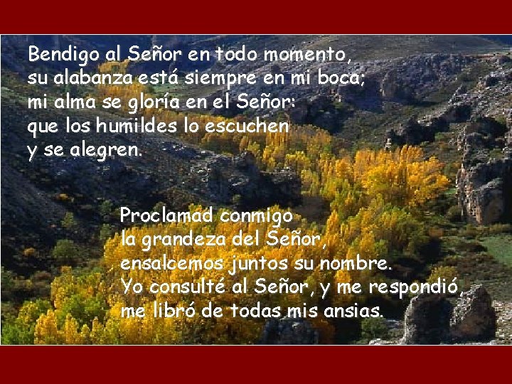 Bendigo al Señor en todo momento, su alabanza está siempre en mi boca; mi