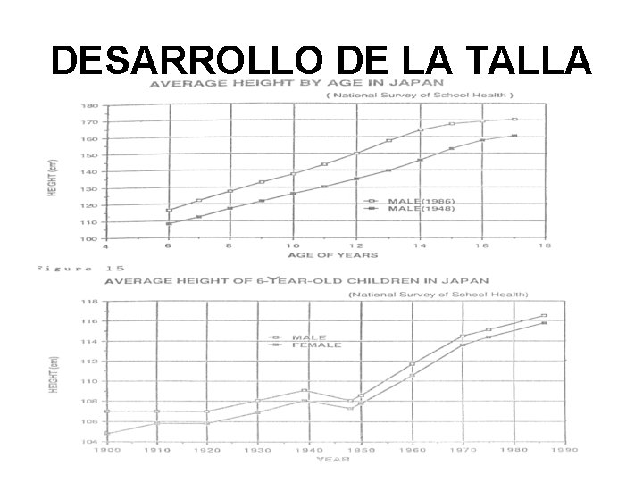 DESARROLLO DE LA TALLA 