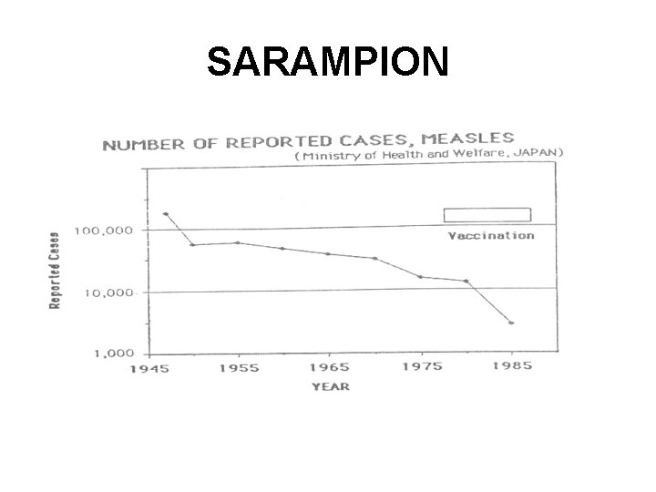 SARAMPION 