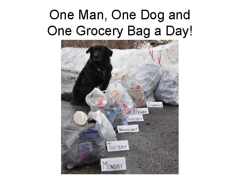 One Man, One Dog and One Grocery Bag a Day! 