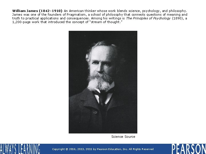 William James (1842– 1910) An American thinker whose work blends science, psychology, and philosophy.